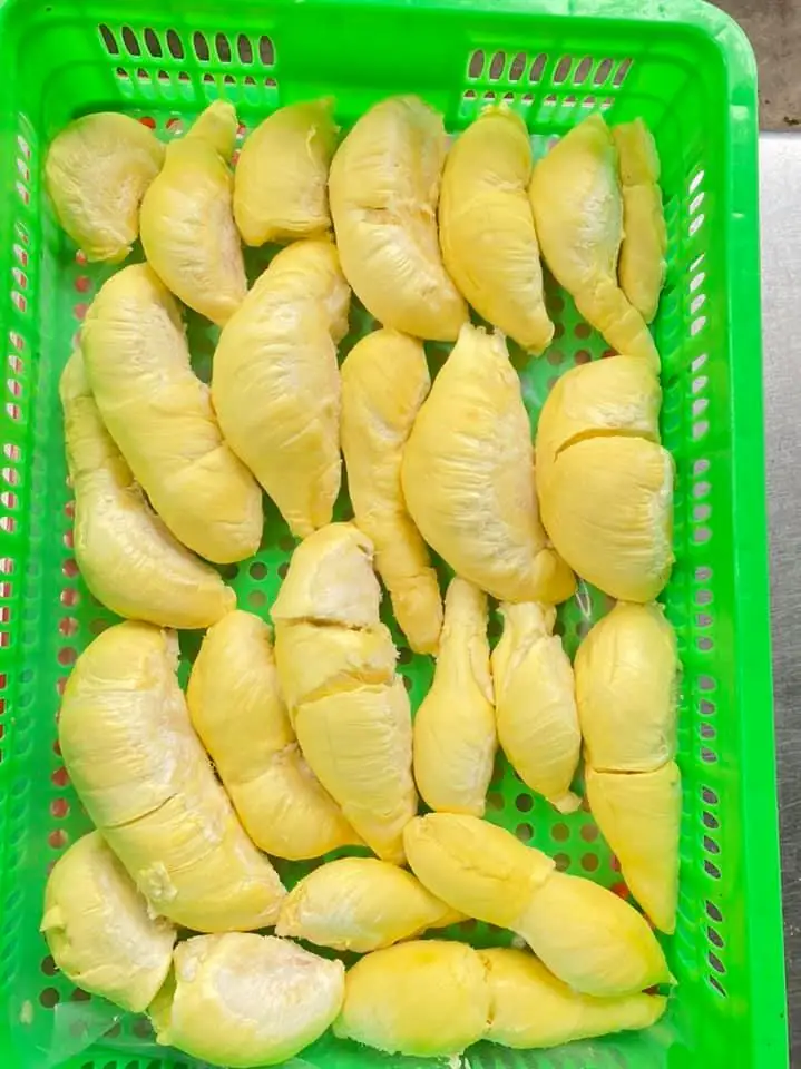 Cultivation Common Packaging OEM Shape Life  IQF Type frozen durian Frozen Durian from Vietnam +84947900124
