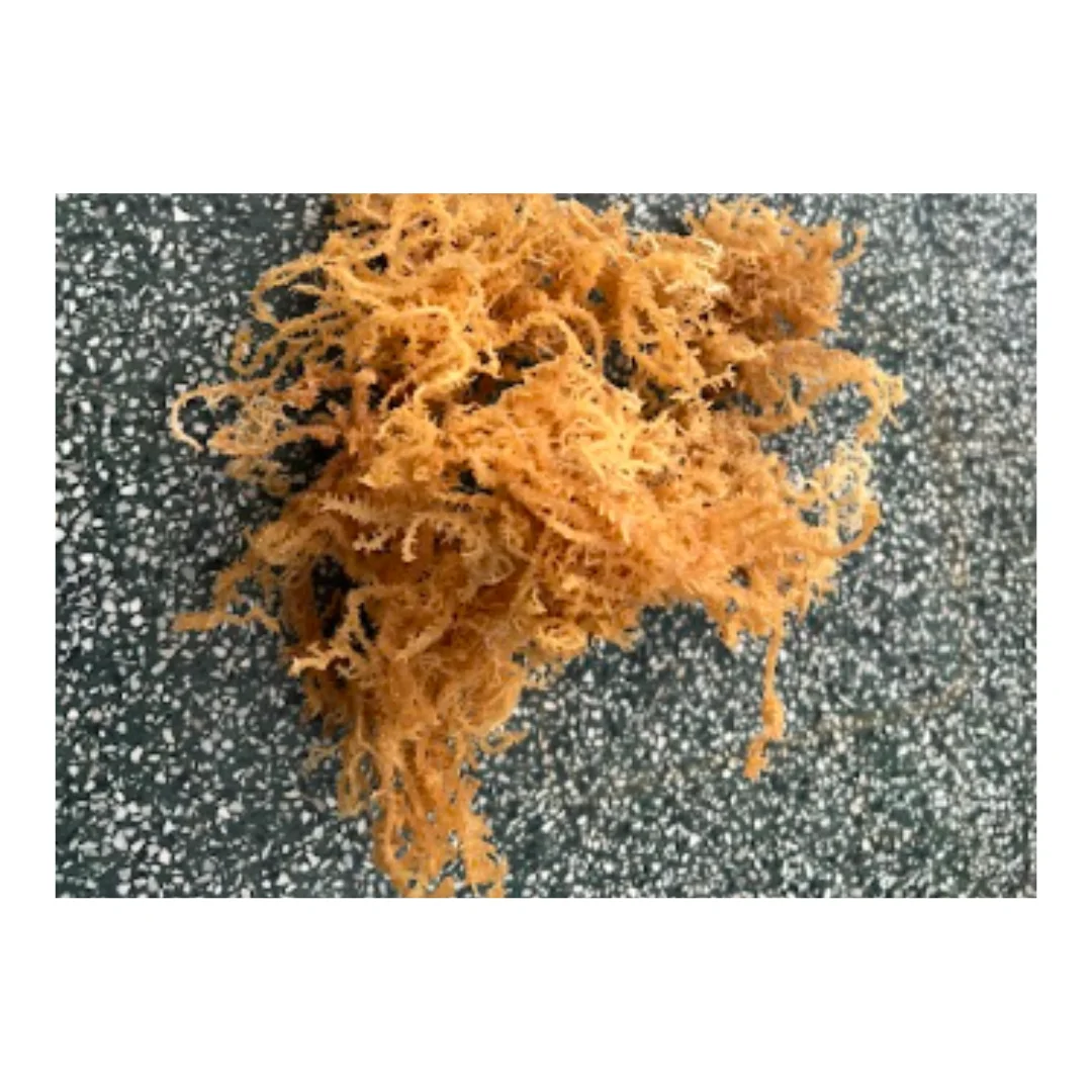 Белый/желтый/фиолетовый сушеные водоросли Eucheuma Cottonnii/Высококачественный сушеный ирландский морской мох для салата Seamoss