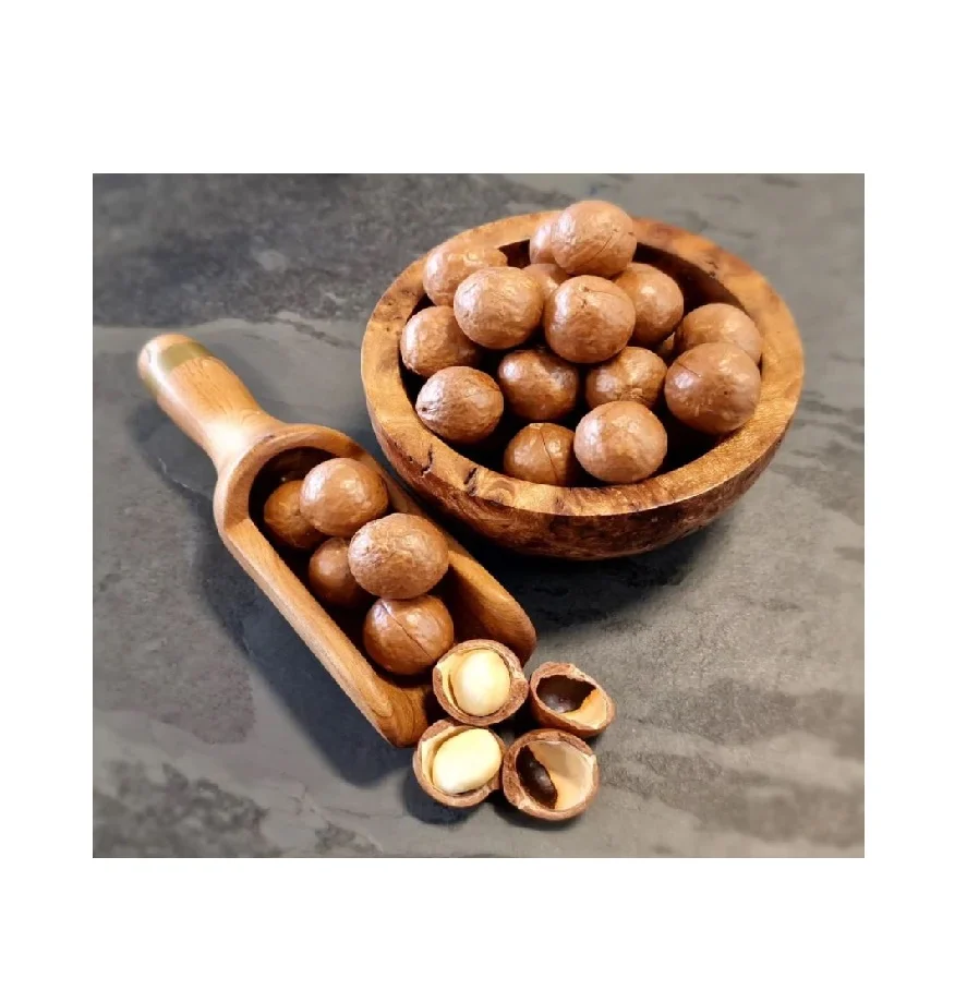Macadamia Nuts Wholesale High Quality Organic Ready To Eat Healthy Food. Oem Service From Manufacturer