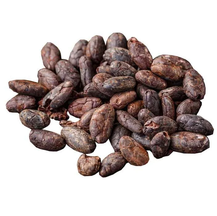 Cocoa Beans New Crop fermented cocoa beans