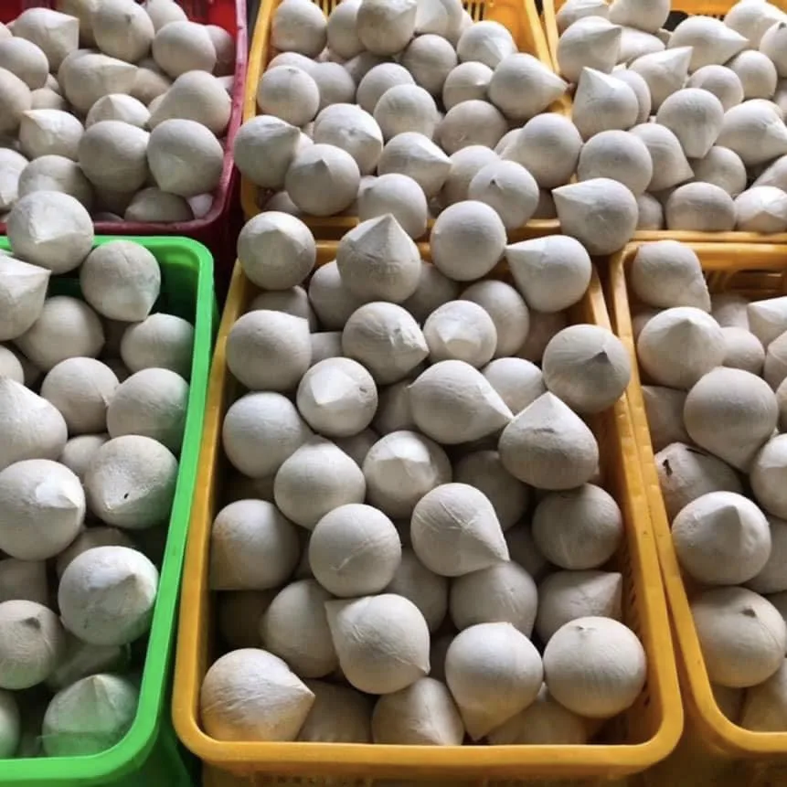 Wholesale Premium Quality Cheap Price FRESH YOUNG DIAMOND COCONUT  From Viet Nam