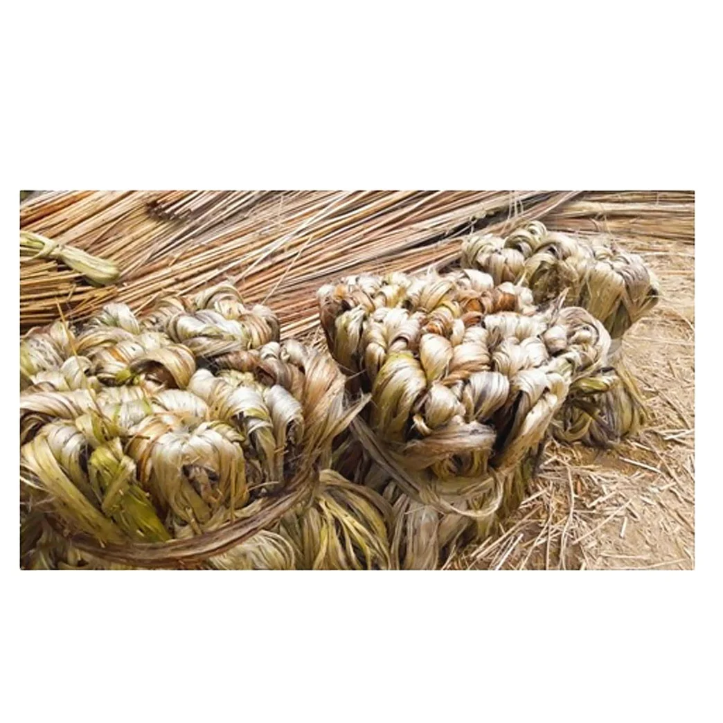 Exportable, оптовая продажа, самая низкая цена, сырье из джутового волокна Tossa Jute, чистый, высокое качество, поставка из Бангладеш 2023