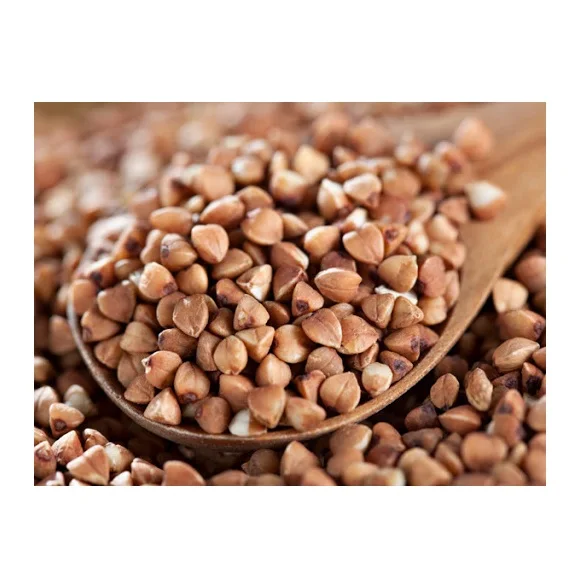 France Origin Hot Selling Organic Raw Buckwheat