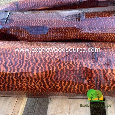 Suriname Snakewood Logs: прямо из источника Гарантированная подлинность и высококачественная фигурная древесина