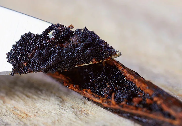 Dried Vanilla Beans in Bulk Quantity / High Quality Bulk and Natural Tropical Wholesale Vanilla Beans