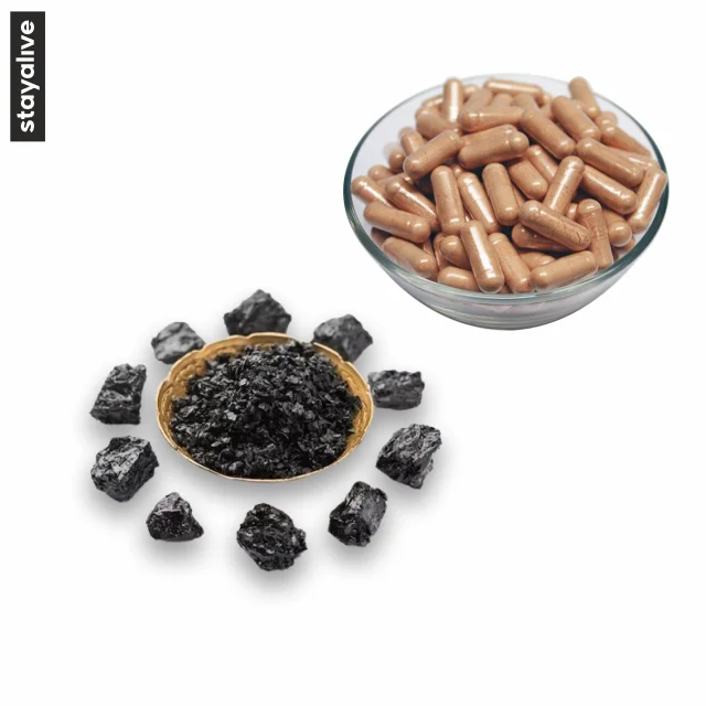 High Quality Shilajit Extract Capsules  | Shilajeet | Vegetarian Capsules | OEM Service (60,90,120Capsules)