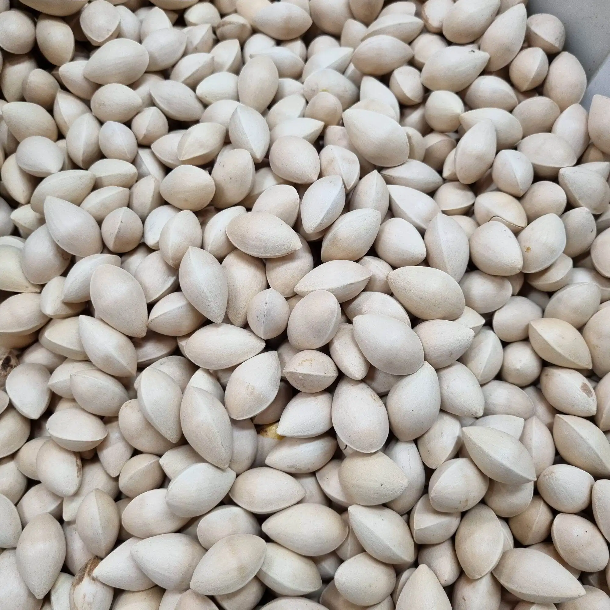 Cheap peeled gingko nuts for sale