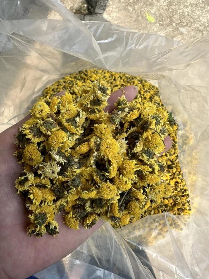 Dried flowers - Vietnam Dried Chamomile Flowers Edible Flowers
