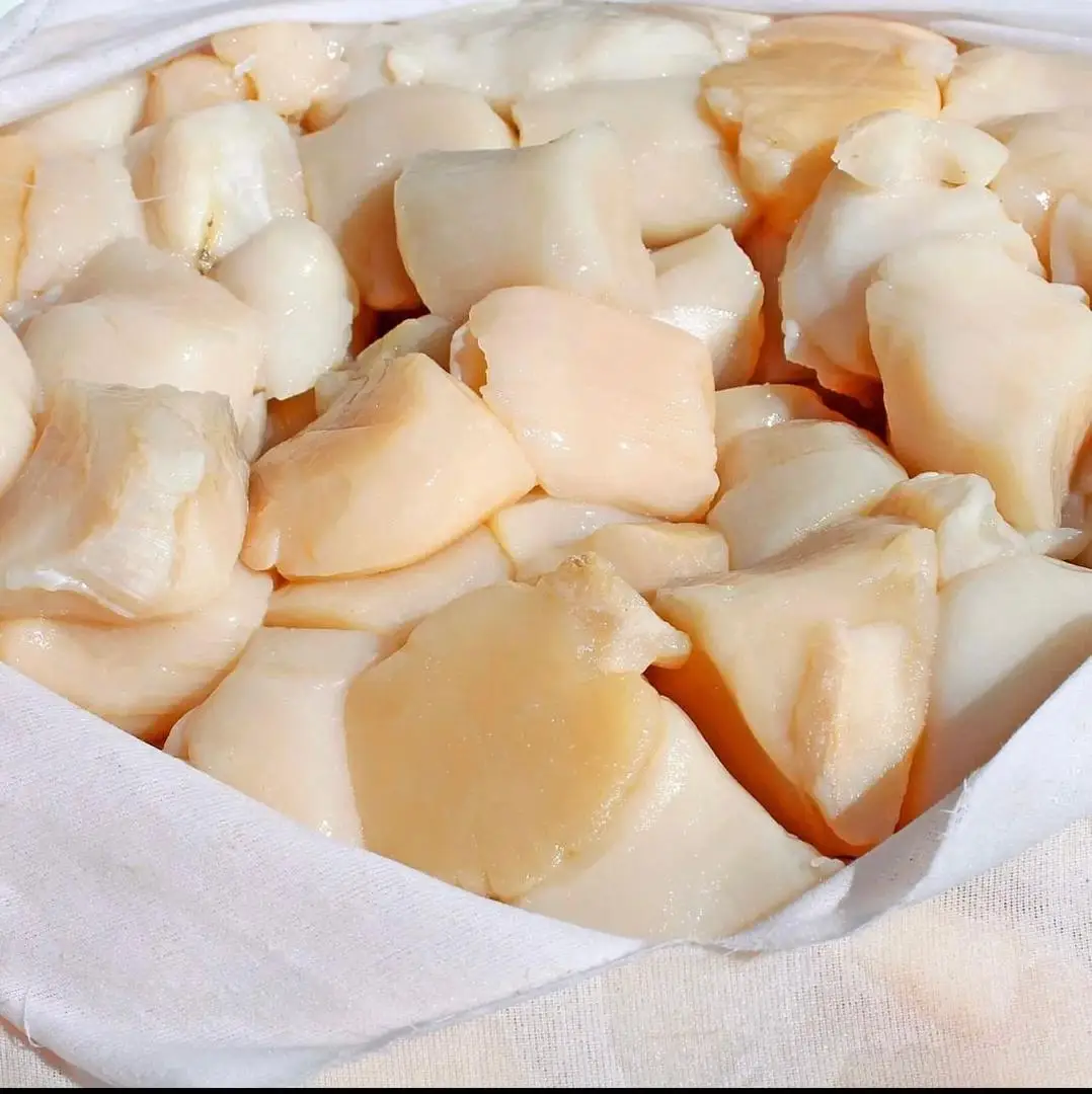 Affordable Popular shellfish export manufacturers frozen Japanese sea scallop