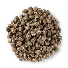 Best Quality Organic Dried Moringa Seeds and Moringa Powder at Wholesale Price Buy Isar International