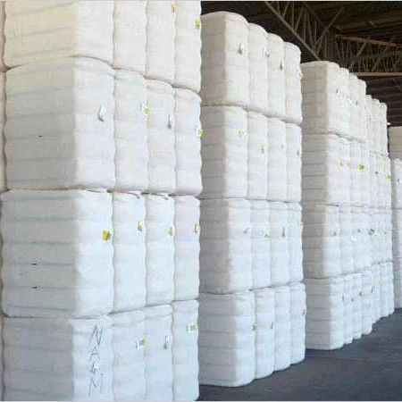 Raw Cotton Fiber.4.jpg