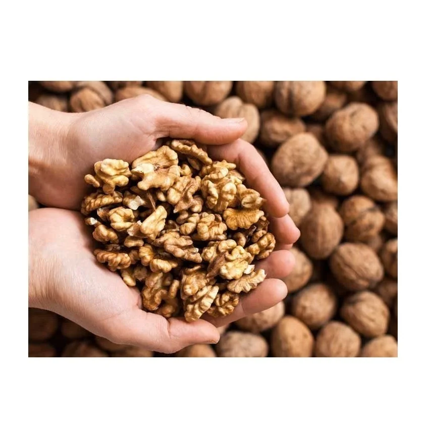 Peeled Kernel Walnuts High Quality Walnut Kernel Brazil Supplier Low Price Light Halves Walnut Kernels