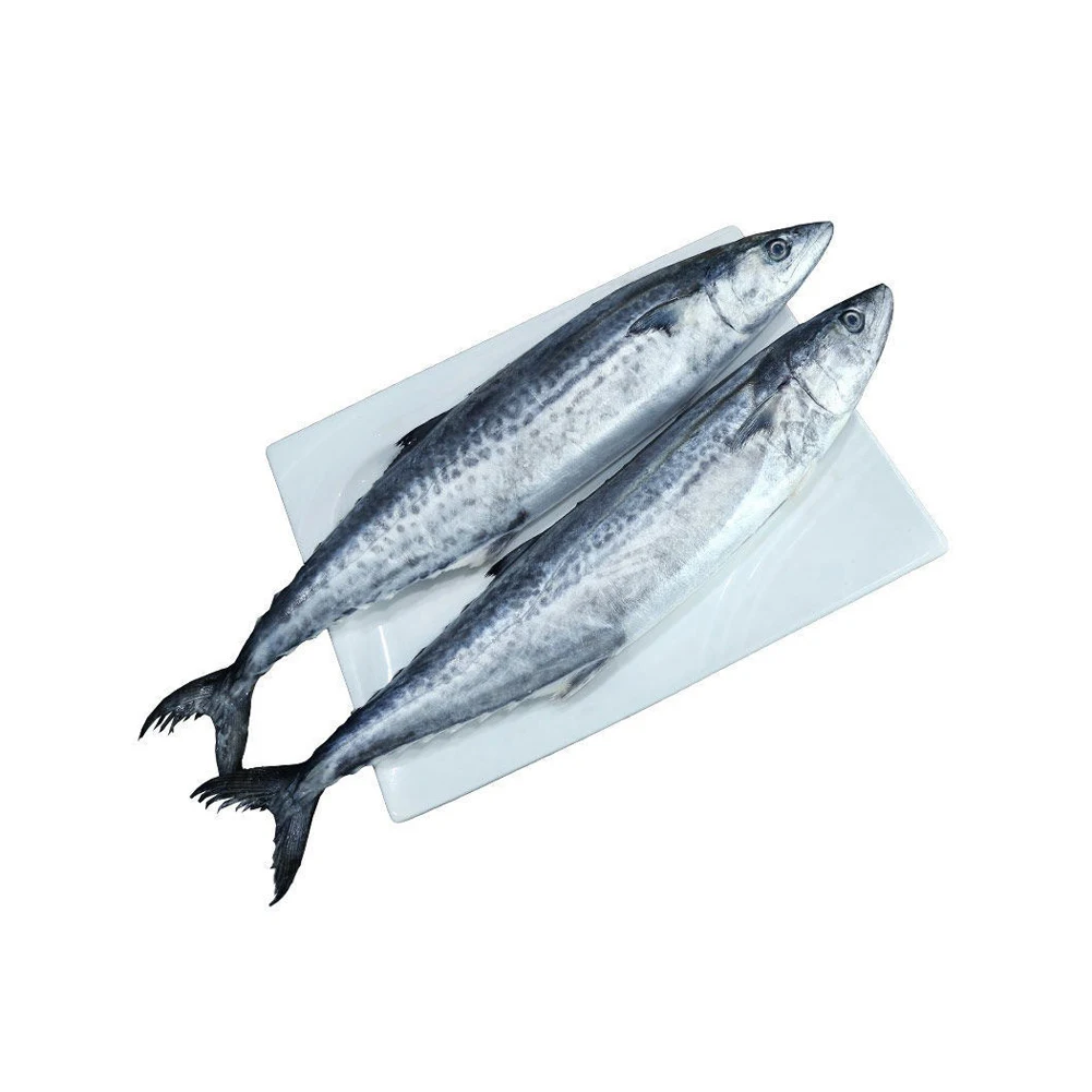 Frozen Horse Mackerel Fish Seafood