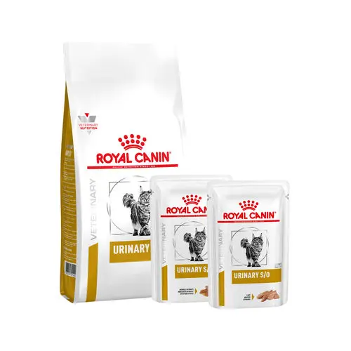 Royal Canin Medium Adult Dry Dog Food | Order Wholesale Royal Canin | Buy Royal Canin Cat Food