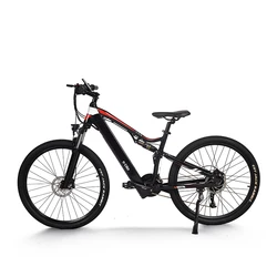 LULUSKY Manufacturing Wholesale 7 Speed Electric Mountain Bike 36V 10.4Ah E Bike 250w Motor Electric City Bicycle