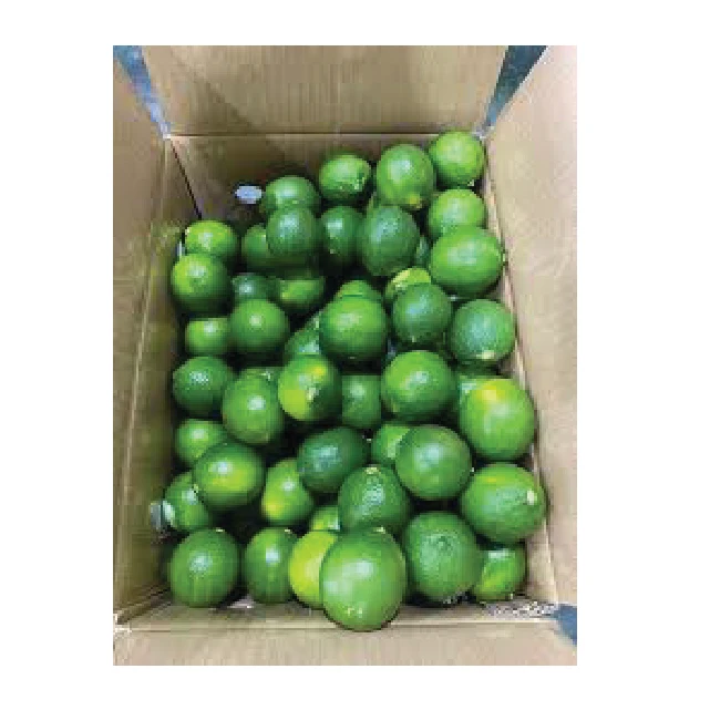 Organic Fresh Lime Product on Sale Wholesome Fresh Fruit from Viet Nam