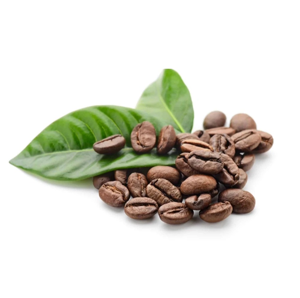 Made In Vietnam Export Standard High Quality Vietnamese Freshly Roasted Brown Arabica Coffee Beans