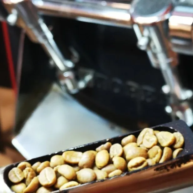 Premium Brazilian Coffee Green Coffee Beans Chocolate and Peach Arabica Raw Green Coffee Beans 1 kg For Wholesale