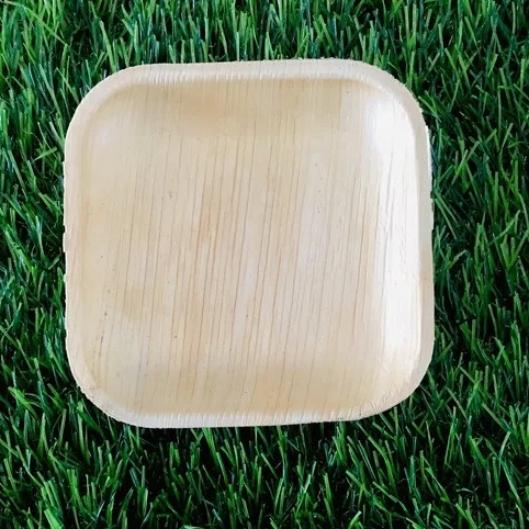 New Areca Fast Food Dessert Plates Small Square Bamboo Wood Paper 5 Inches Snacks Dishes for Party Dinner Pack of 50 Pcs