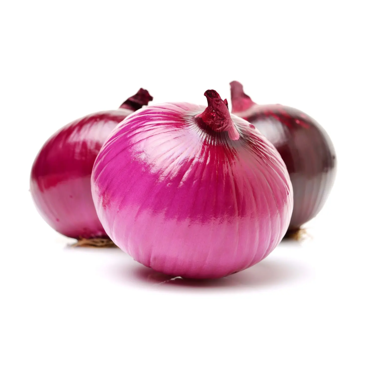 Fresh Red Onion Organic Nutritional and Natural Fresh Onion Prices