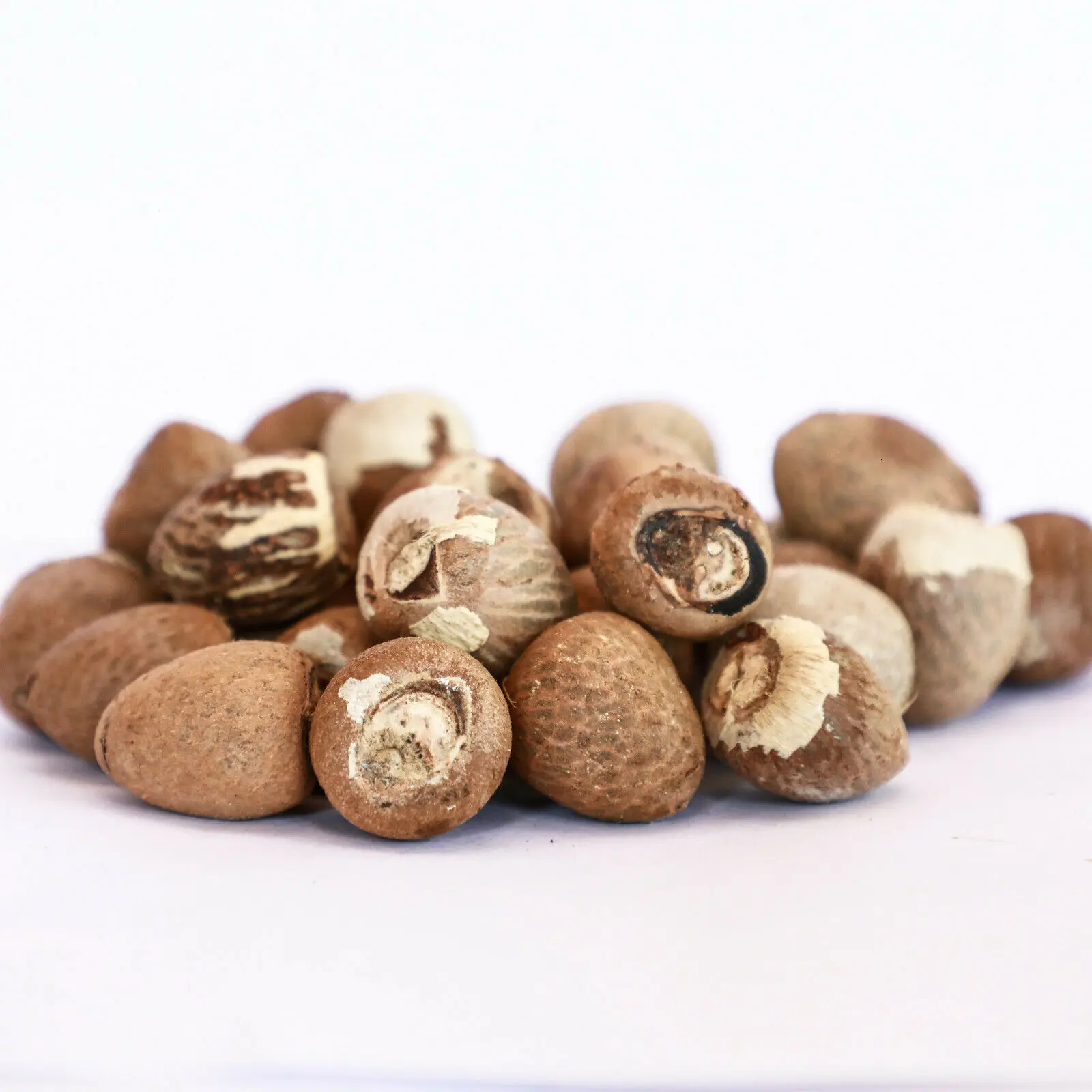 split Lalee Betel Premium Quality Wholesale Betel Nut For Sale