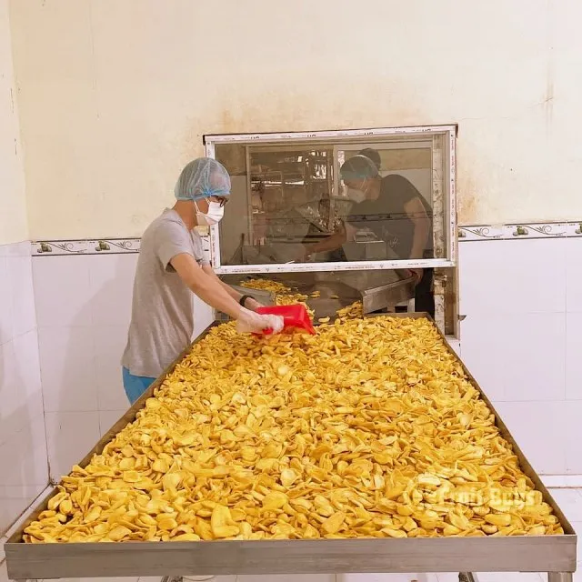 Top Dried Fruits Amazon 100% Fresh Jackfruit Vietnam Tropical Dried Jackfruit NO Sugar package 1 5 10 20 Kg