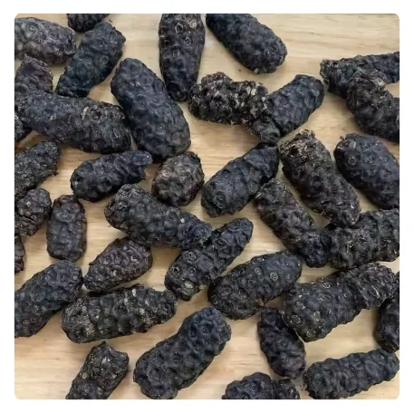BEST PRICE VIETNAMESE DRIED NONI LEAVES - HIGH-QUALITY ORGANIC WELLNESS PRODUCT