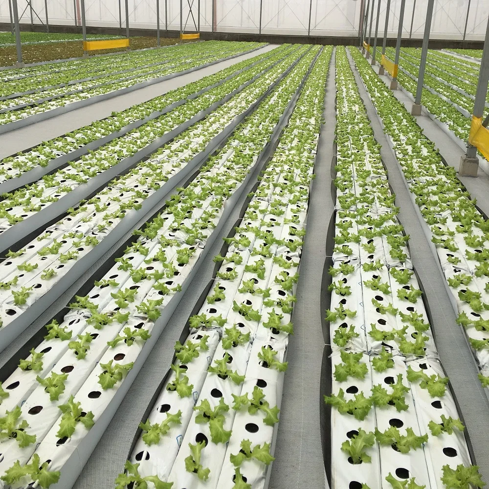 Sell Cocopeat Growbag 28L Microbiological Soil Nutrition Substrates Biochar Coir Mattress Tuff High Quality Brand Manufacturer