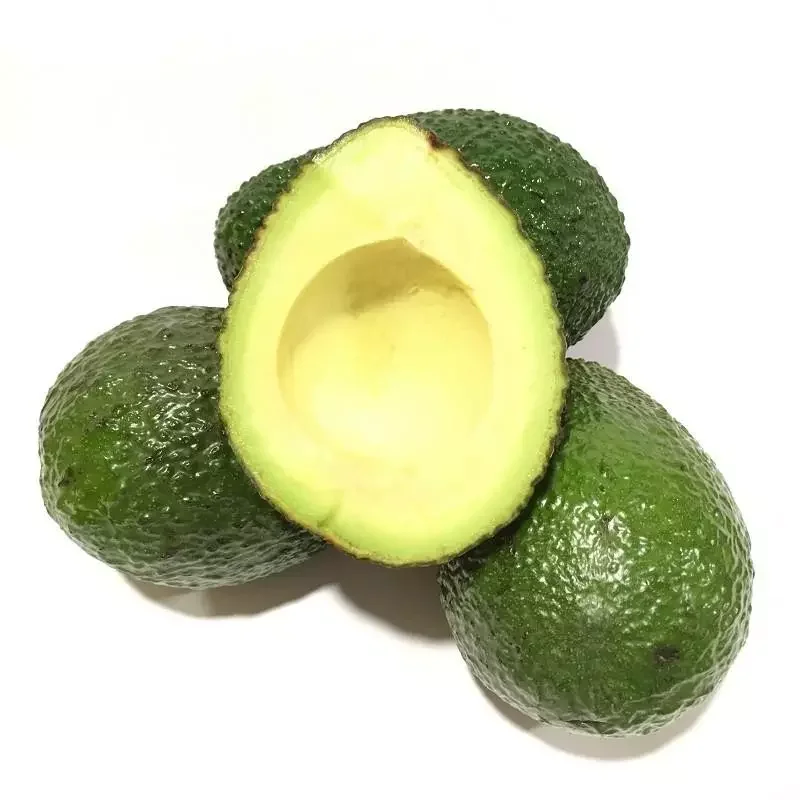 Fresh Super Delicious Taste Premium Quality Hass Avocado - Whole Fruit Export