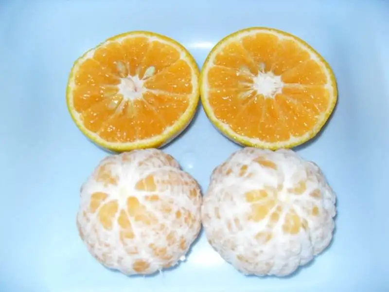 Most Popular Excellent Quality Farm Fresh Orange Fruit in Bulk Quantity Fresh Natural Orange For your good Health Available