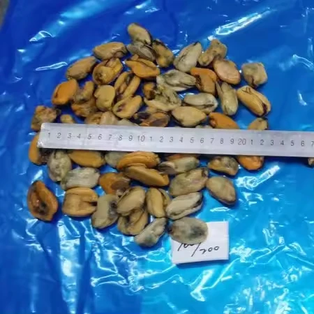 Hot Wholesale Seafood Frozen boiled mussel meat cooked mussel meat IQF China supplier