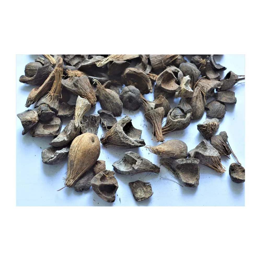 High Quality Palm Kernel Shell From Agricultural Waste With Good Price