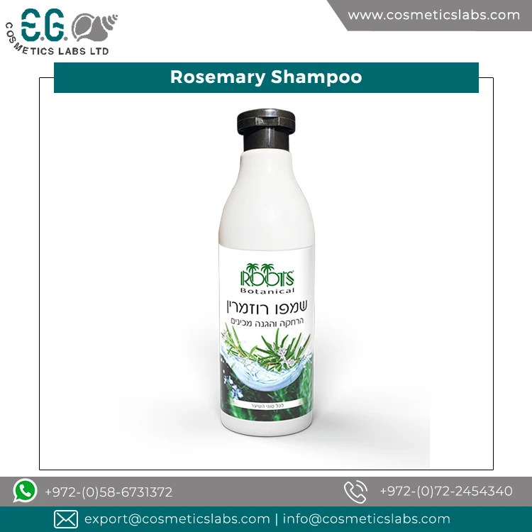Private Label Available Natural Ingredients Made Paraben Free Rosemary Hair Shampoo from Top Listed Israel Supplier