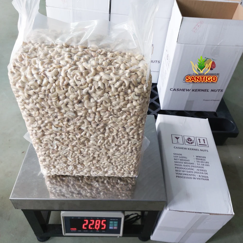 Factory Directly Cashew Nuts Cashew Nuts W320 Raw Cashew Nuts With Custom Packaging