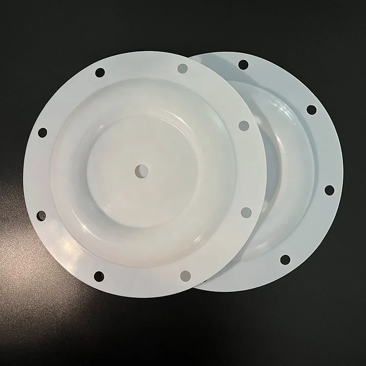Factory Wholesale High Quality Pump Spare Parts PTFE Diaphragm for Skylink Vacuum Pump