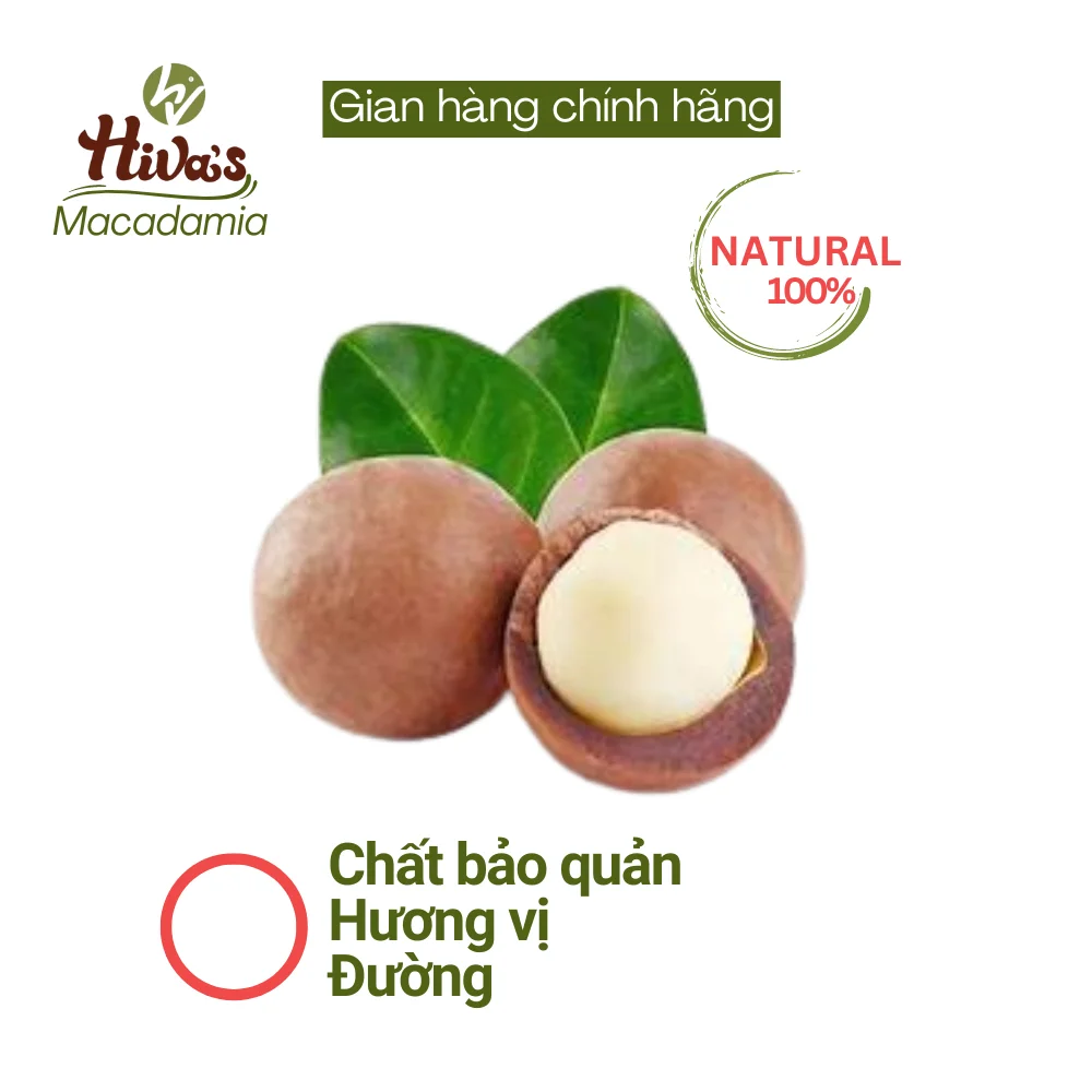 Farm Macadamia seeds Viet Nam big size 26-30mm Freeze dried Fast delivery from Factory Wholesale price 500g jar Ready to export