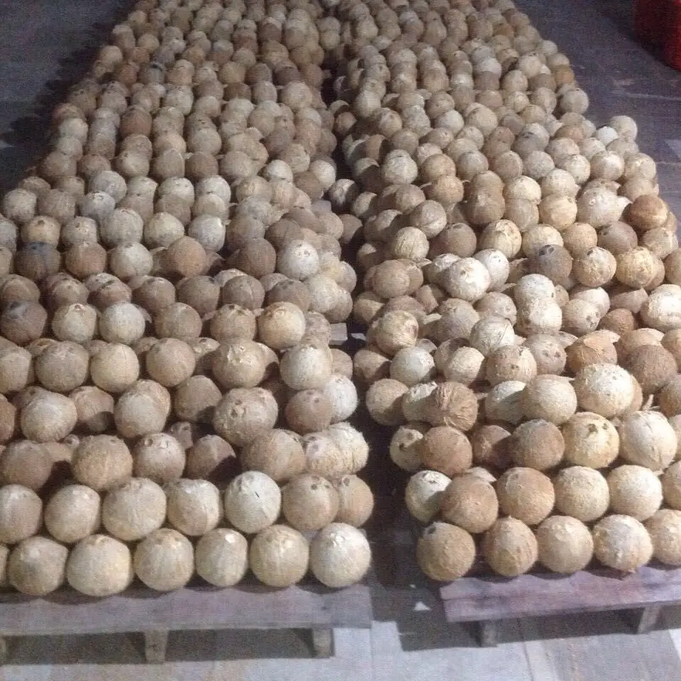 Big Supply Competitive Price Dry Brown Semi Husked Coconut With Tight Export Standard From Vietnam Best Seller