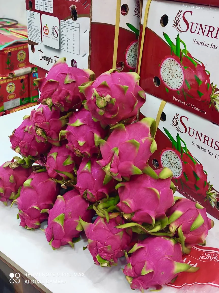 Soft Dried White/Red Dragon Fruit / Pitaya Fruit for export 2022 (Mobile/ WA: 0084 866 078 412 Joyce)