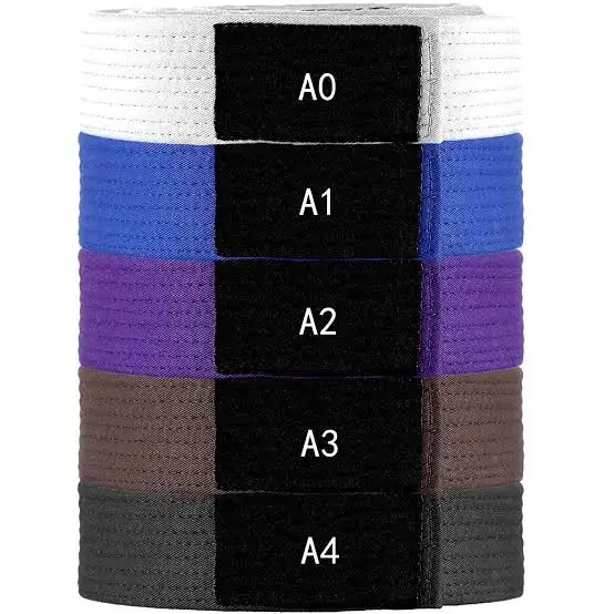 Custom Made Professional BJJ BELT  / OEM DESIGN BRAZILIAN JIU JITSU BELT