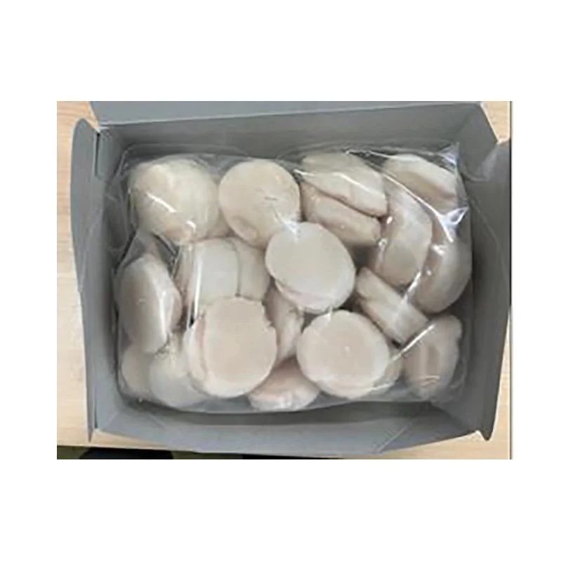 Traditional Frozen Scallop Meat Authentic Japanese Food in Japan