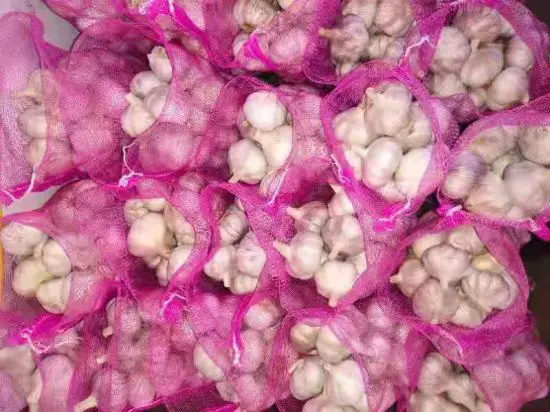 Hot Selling Price Fresh Vegetables Garlic in Bulk