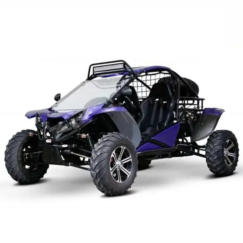 renli new Street Legal Dune Buggy For Sale
