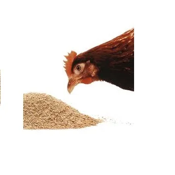 Non GMO Yellow Soybeans - Soybeans /Soya Bean (8.0mm) for food and animal feed production