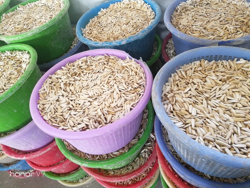 sunflower seeds air dryer 