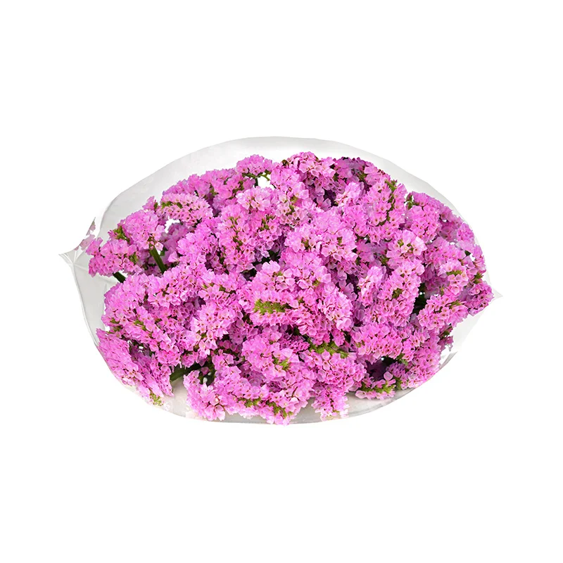 Pink Bouquets Fresh Cut Flowers 100% Natural Flowers Kenyan Wholesale Flower Export B2B Limonium Statice