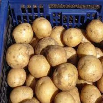 Fresh Irish Potatoes