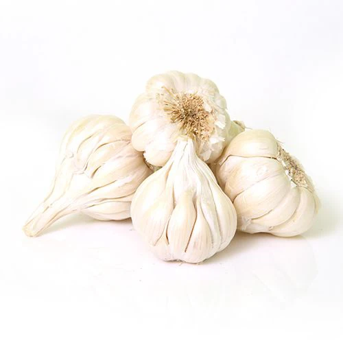 Where to Purchase Quality Grade 1Fresh Garlic/Normal White Garlic/Pure White Garlic for Sale