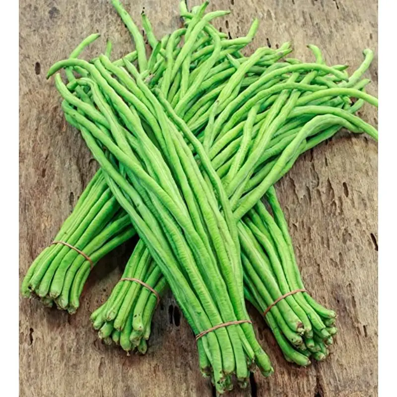 Indian Black Eyed Cow Pea polo beans fresh vegetable for top sale at good discounted price By Air in customize Packing