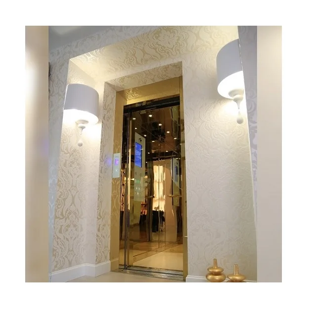 Emak Home Lift 2Stops 480kg Home Elevator Villa Lift House Lift Homelift MRL Gearless Traction