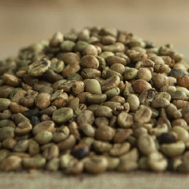 New Crop Harvest Organic Cultivation Type Grade 1 Natural Processing Type Robusta Screen 14 Coffee From Vietnam